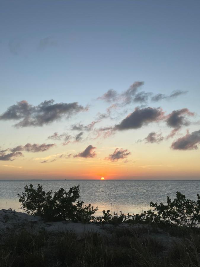 The Coral Casa Villa Caye Caulker Kültér fotó